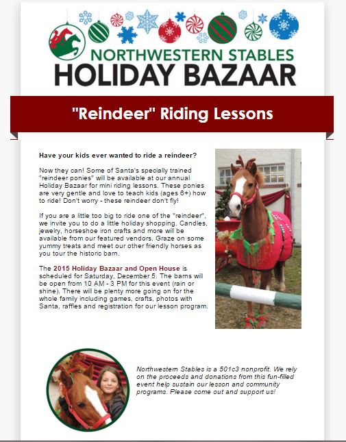 Reindeer riding lessons