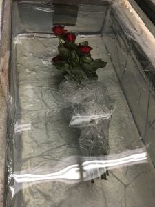 roses in ice