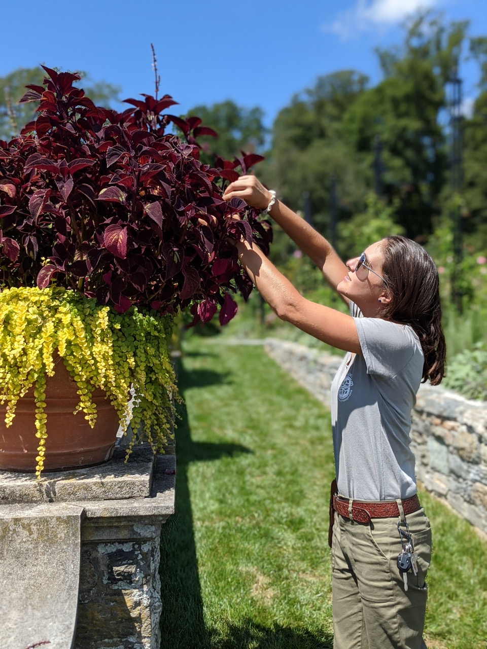 Morris ArboretumFall Lineup for Classes Chestnut Hill