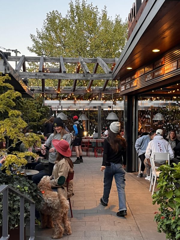 Tips How to Start a New Business Chestnut Hill