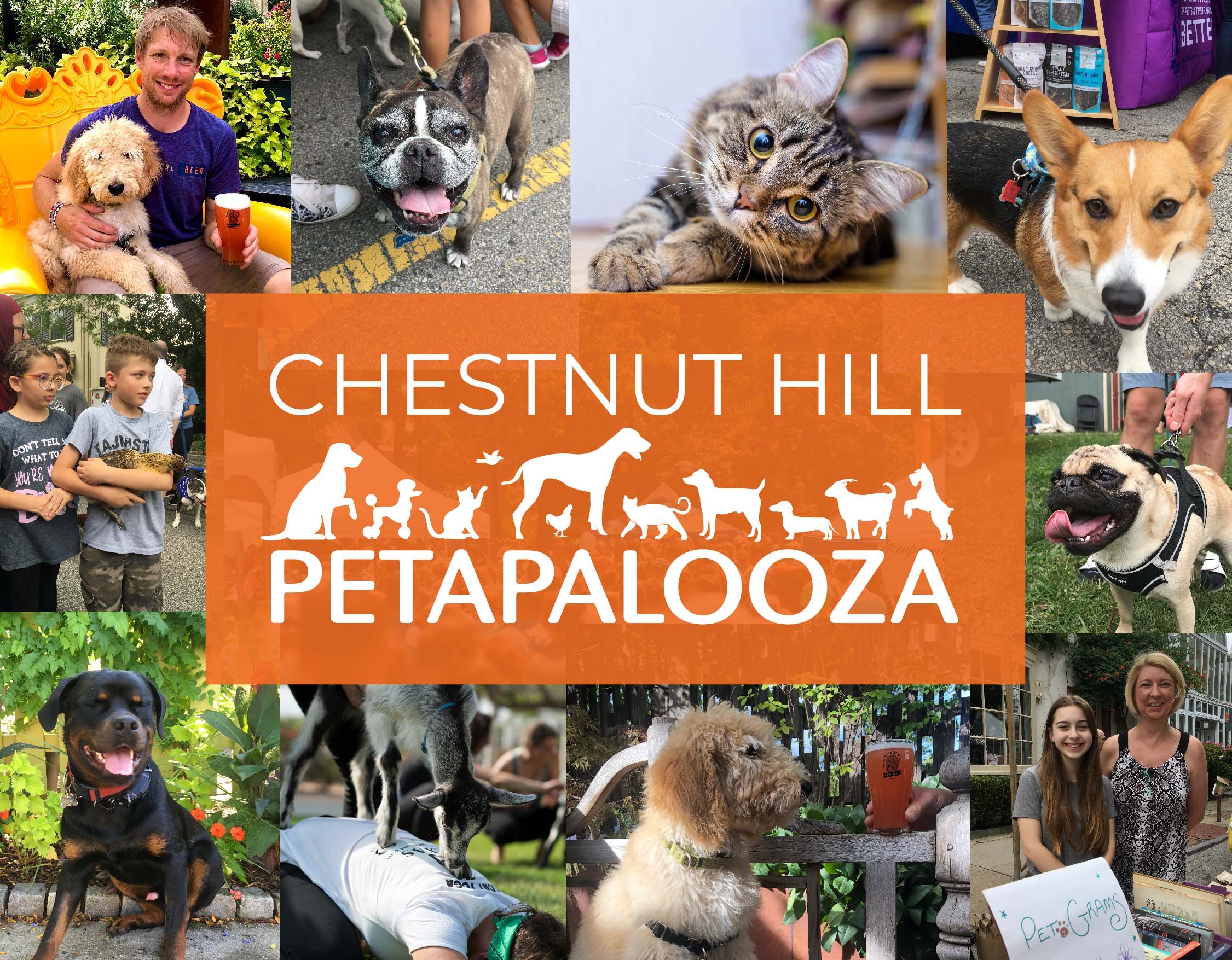 Petapalooza Chestnut Hill