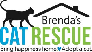 brenda's cat rescue